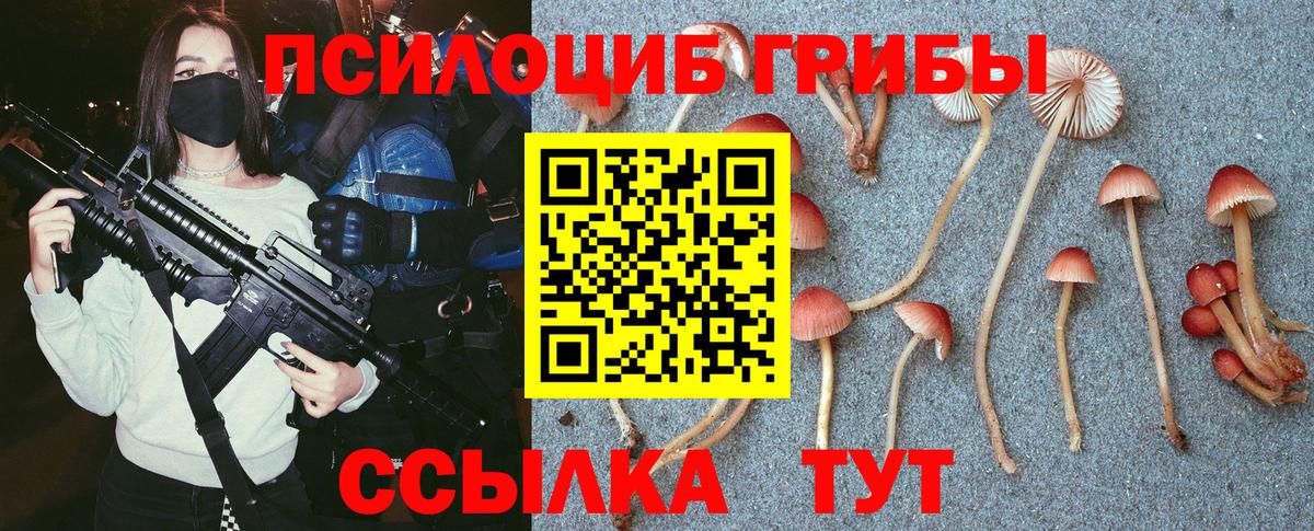 Псилоцибиновые грибы Cubensis Уссурийск
